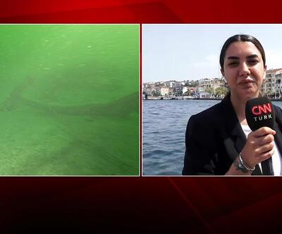 CNN TÜRK görüntüledi: 17 Ağustos'un izleri hala su altında