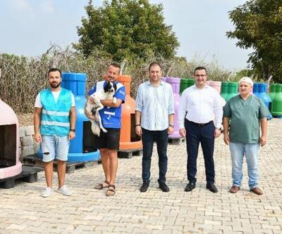 Mustafakemalpaşa Belediyesi Hayvan Barınağına Engelli Hayvan Birimi açıldı