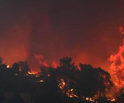 İsrail’de orman yangını: Çok sayıda kişi tahliye edildi
