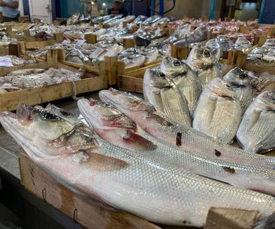Balıkta sezon başladı, fiyatlar düştü: İşte pazarda son durum