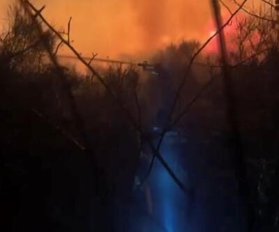 Arnavutköy'de ormanlık alanda yangın