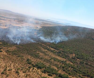 İzmir'de makilikte çıkan yangın ormana da sıçradı