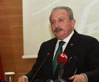 TBMM Başkanı Şentop: Türkiye'yi dünyada etkin bir ülke haline getirmemiz gerekiyor
