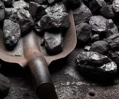 Taş kömürü ithalatı Temmuz'da yükseldi