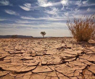 California'daki tarihi kuraklık ABD gıda güvenliğini tehdit ediyor