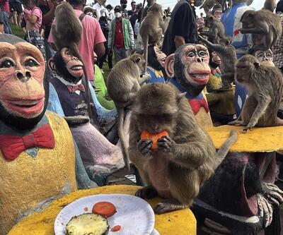 Tayland'da maymunlara açık büfe ziyafeti