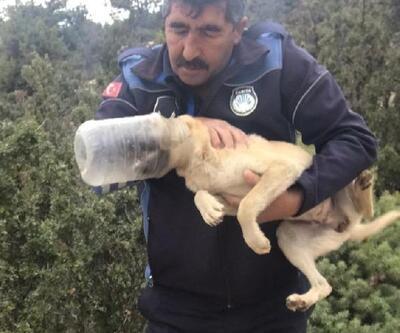 Başı bidona sıkışan köpek kurtarıldı