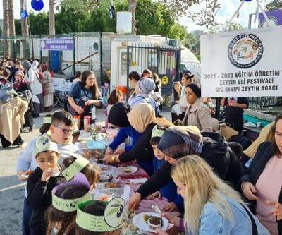 Bodrum'da ilkokulda hasadın ardından zeytin festivali