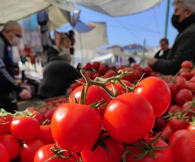  İstanbul’da Kasım ayında en çok domates pahalandı
