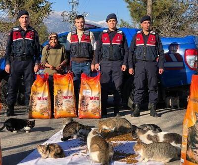 300 kedi besleyen kadına jandarmadan mama desteği