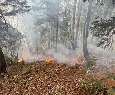 Trabzon'da örtü yangını söndürüldü