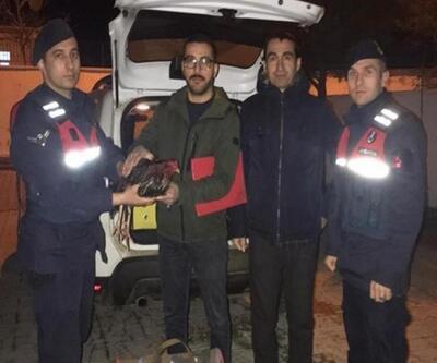 Kırklareli'de horoz dövüştüren 3 kişi yakalandı