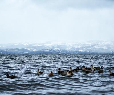 Sapanca Gölü'nde sevindiren haber: Su seviyesi 31.37 metreye ulaştı