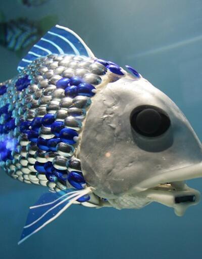 Deniz kirliliğini ölçen robot balık