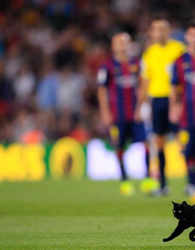 Barcelona maçında sahaya kara kedi girdi!