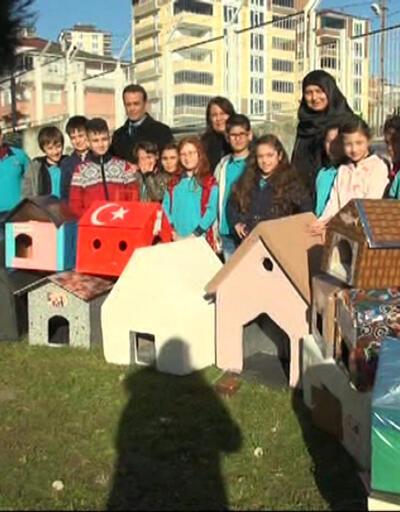 Samsun'da öğrenciler 25 kedi evi yaptı
