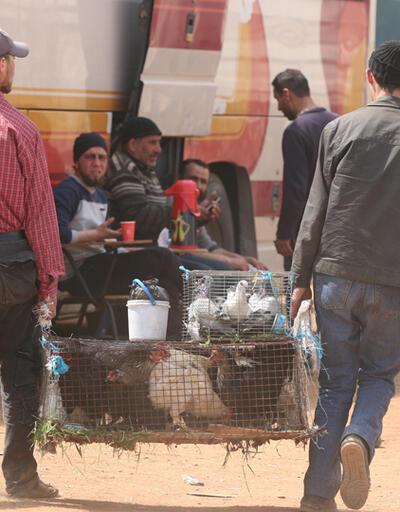 Humus'tan 2. tahliye: Muhalifler otobüslerle ayrıldı 