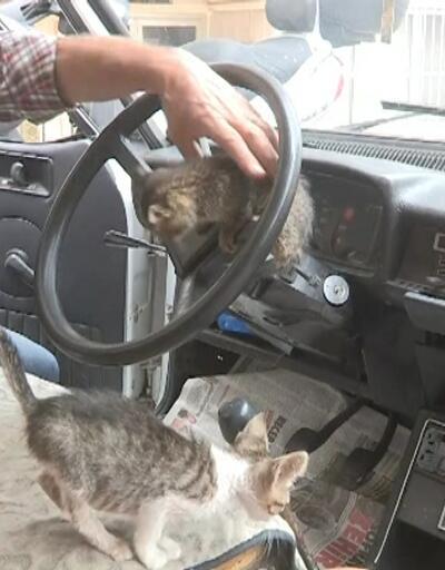 Kediler için otomobilini yuvaya dönüştürdü