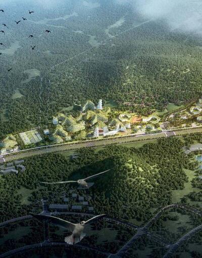 Çin'de 40 bin ağaçla ormandan şehir yapıyorlar!