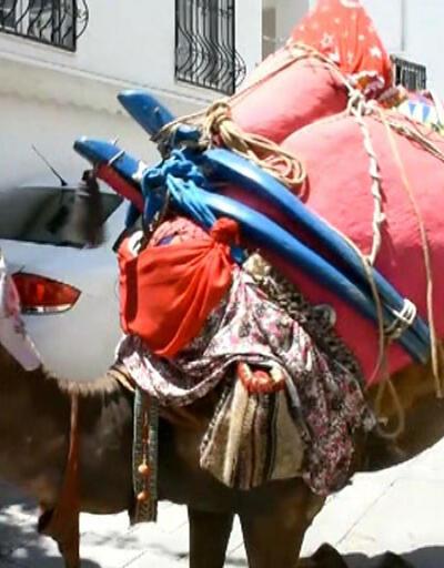 Bodrum'da deve üstünde çeyiz taşıma geleneği sürüyor