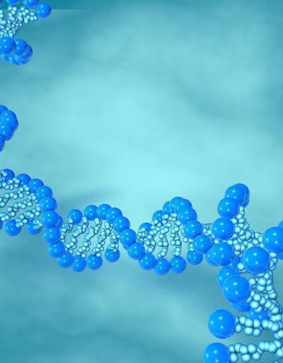 Avustralyalı bilim insanları DNA'nın yeni bir yapısını keşfetti