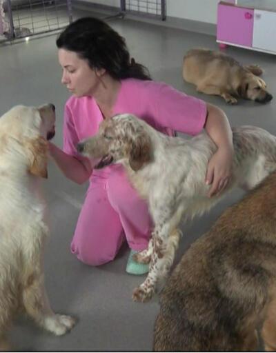 Engelli değil, engellenen köpekler için özel barınak: Engellenenler Evi