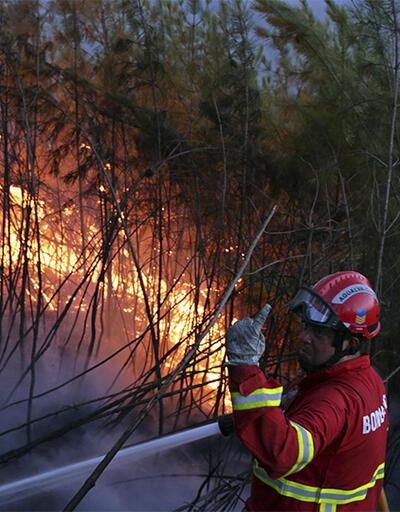 Portekiz'de yangınlar sürüyor