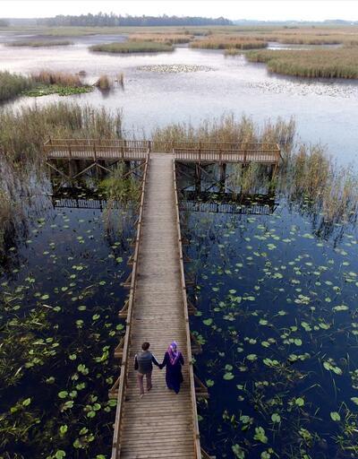 Düzce'deki cennet drone ile görüntülendi: Efteni Kuş Cenneti