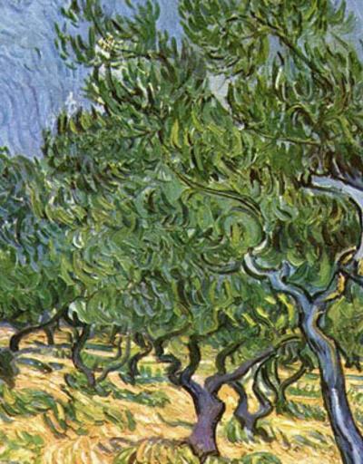 Van Gogh’un Zeytin Ağaçları tablosunda çekirge bulundu
