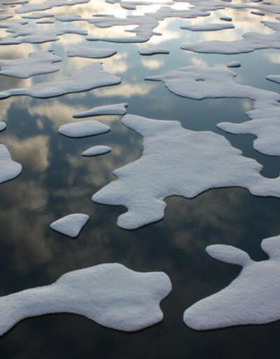 Arktik Okyanusu en az 16 yıl balıkçılığa kapatıldı