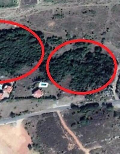 Şile'de 20 dönümlük ağaçlık alana TOKİ villa yapacak