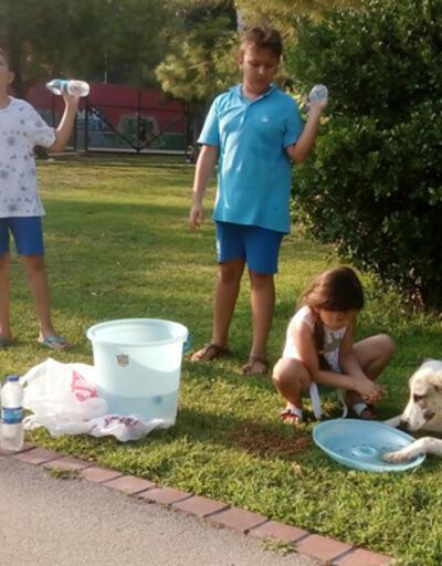 Su satarak hayvanlara mama alan çocuklara Başkan Piriştina'dan destek