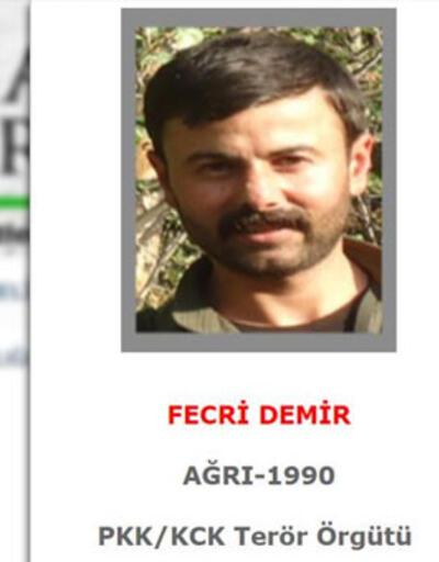 Gri listede yer alan terörist Fecri Demir öldürüldü