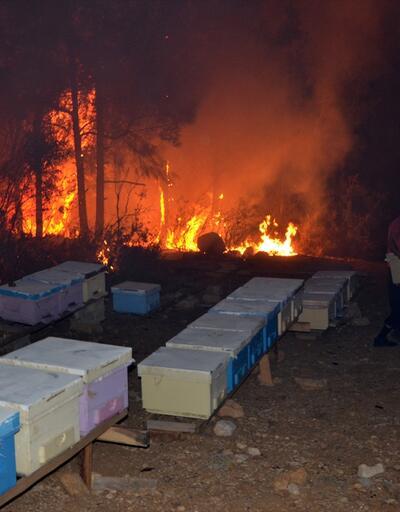 Ormanda yangın çıktı, kovanları tek tek kurtardı