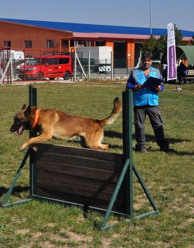 Arama kurtarma köpekleri sertifika sınavına girdi