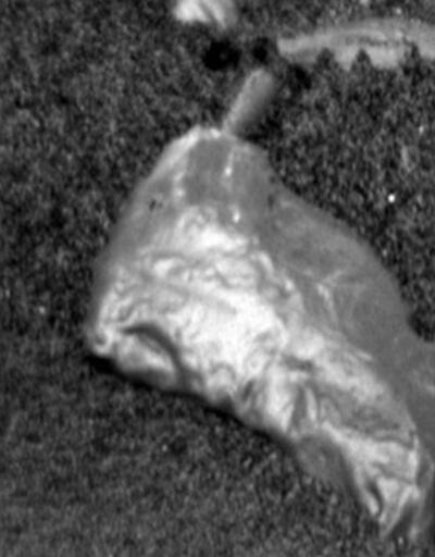 Mars’ta sıradışı parlak bir nesne bulundu