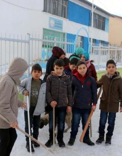 Haymana'da köpeklerin saldırdığı çocuk yaralandı, öğrenciler okula sopa ile gidiyor