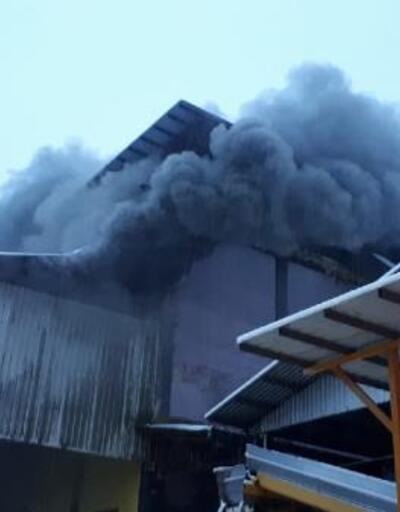 Rize'de çay fabrikasında yangın