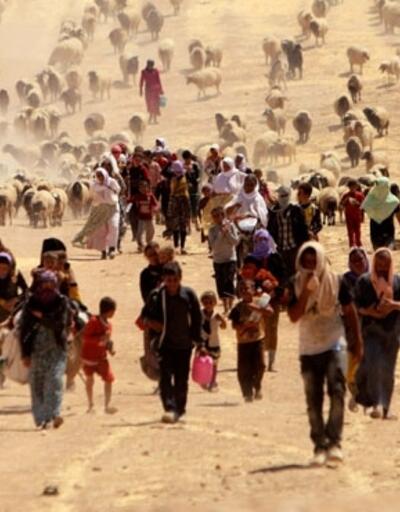 Irak'ta 100 bin Ezidi DEAŞ nedeniyle ülkeyi terk etti
