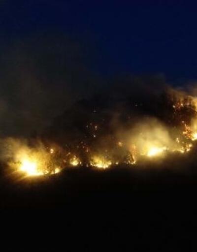 Giresun'da müdahale edilemeyen orman yangını yayılıyor