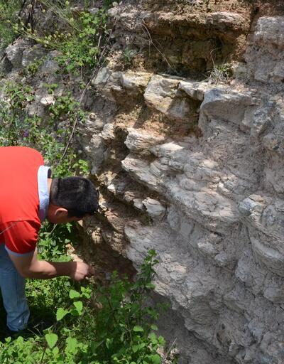 Zonguldak’da dinozorlar çağından kalma deniz canlılarına ait fosiller bulundu