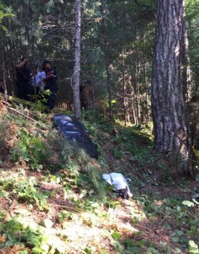 Ormanda ayı saldıran köylü öldü