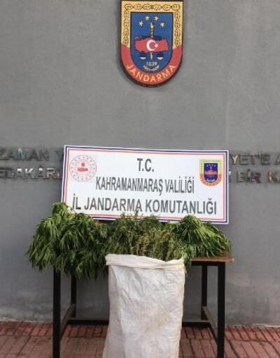 Kahramanmaraş'ta uyuşturucu operasyonu: 2 gözaltı