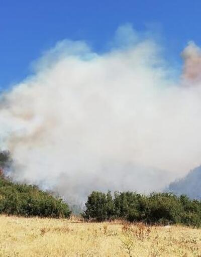 Afyonkarahisar'da orman yangını