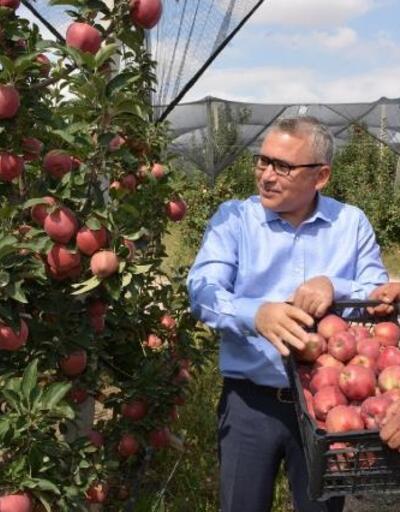 Vali Şimşek Bor'da elma hasadı yapan işçilerle buluştu