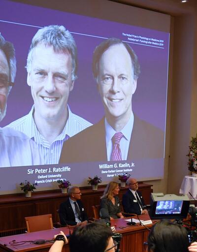 Son dakika... 2019  Nobel Tıp Ödülü'nü kazananlar açıklandı