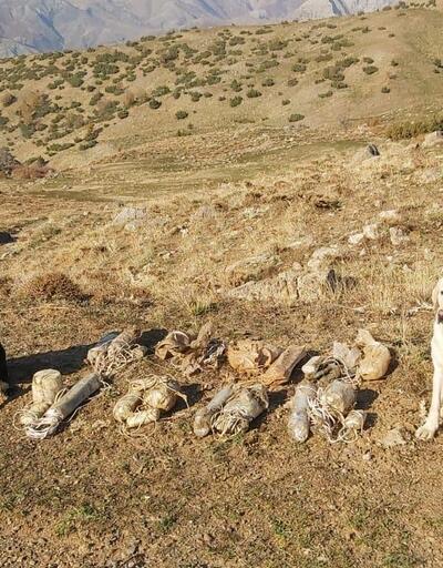 Bitlis'teki operasyonda mühimmat ve insan kemikleri bulundu
