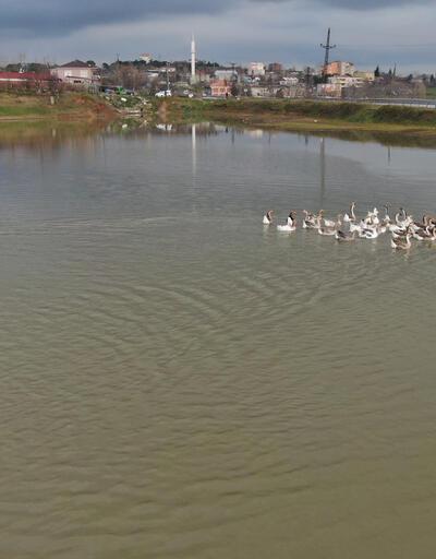 Başakşehir'de Küçük Şamlar Gölü 2 milyona satılığa çıktı