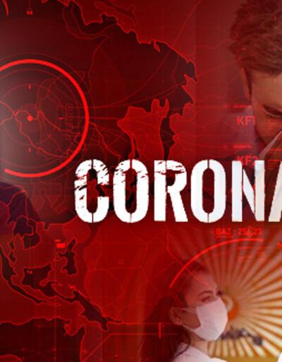 Corona virüsü belirtileri ve korunma yolları... Son dakika koronavirüs haberleri