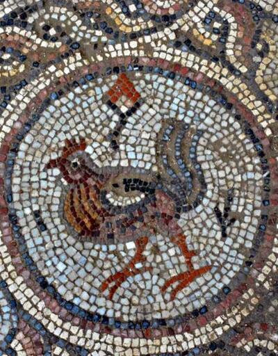 İnşaat kazısında Roma dönemine ait mozaikler bulundu